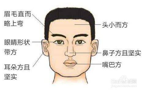 土系顏色 方面面相